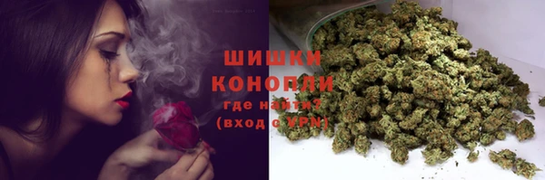 соль ск Каменка