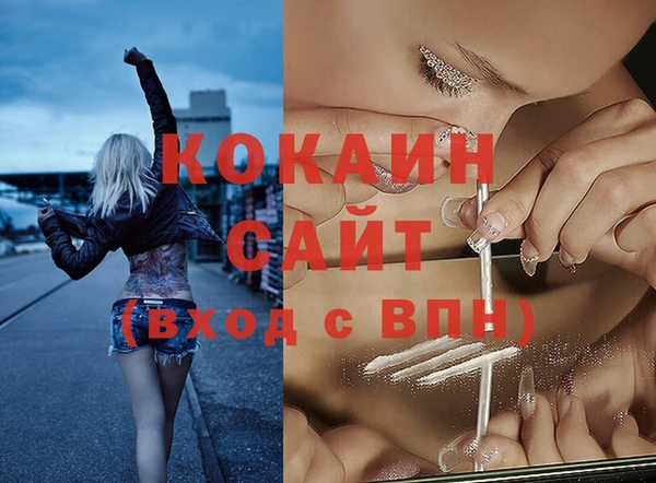 соль ск Каменка