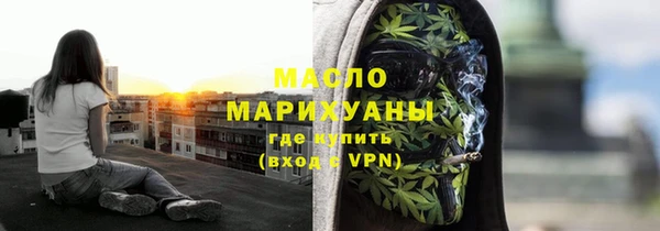 соль ск Каменка