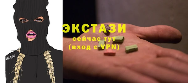 соль ск Каменка