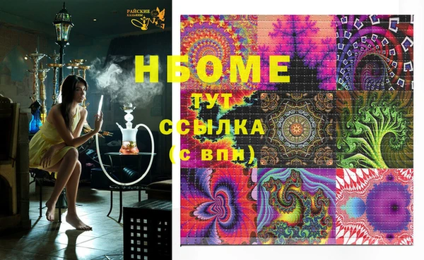 соль ск Каменка