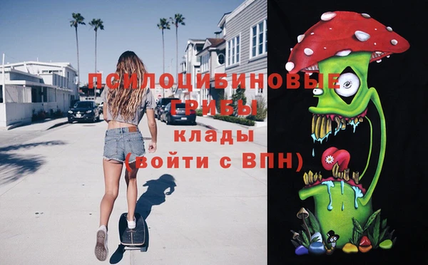 мдма Каменногорск