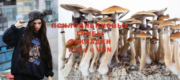 молекула духа Каменск-Шахтинский