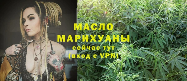 молекула духа Каменск-Шахтинский