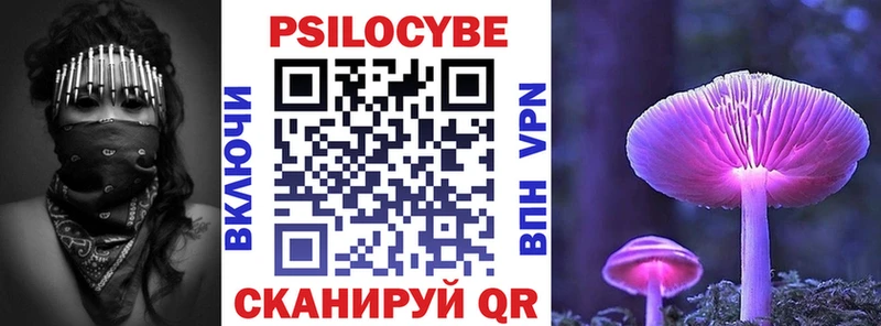 Купить  Невьянск  Псилоцибиновые грибы Psilocybe 